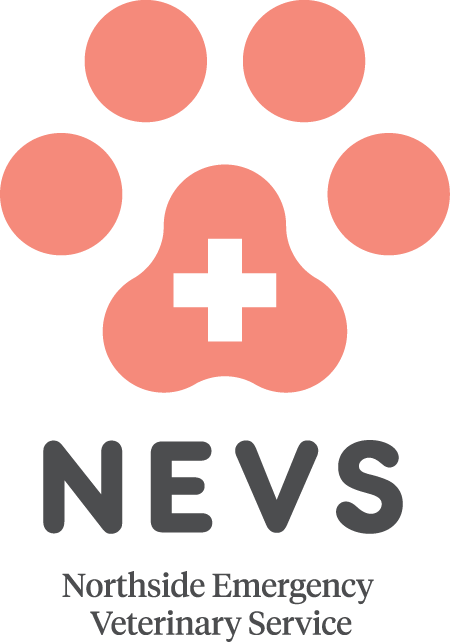  nevs